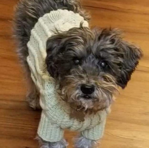 Meet your Posher! - Picture 2 of 4